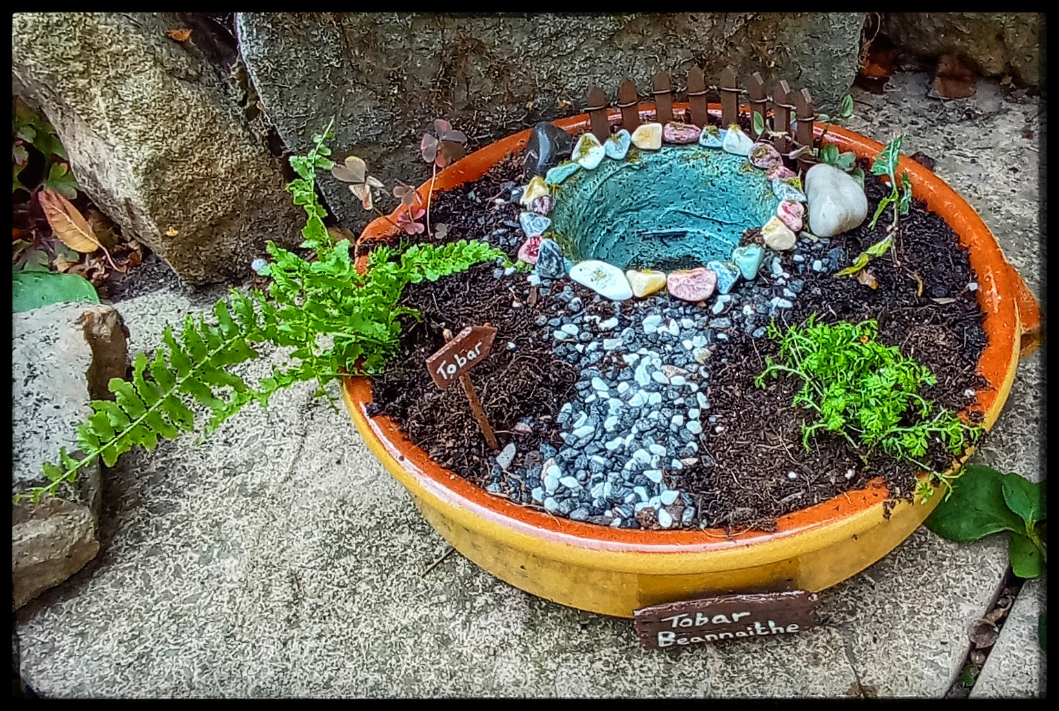 Sacred Well with Hawthorn sapling.
