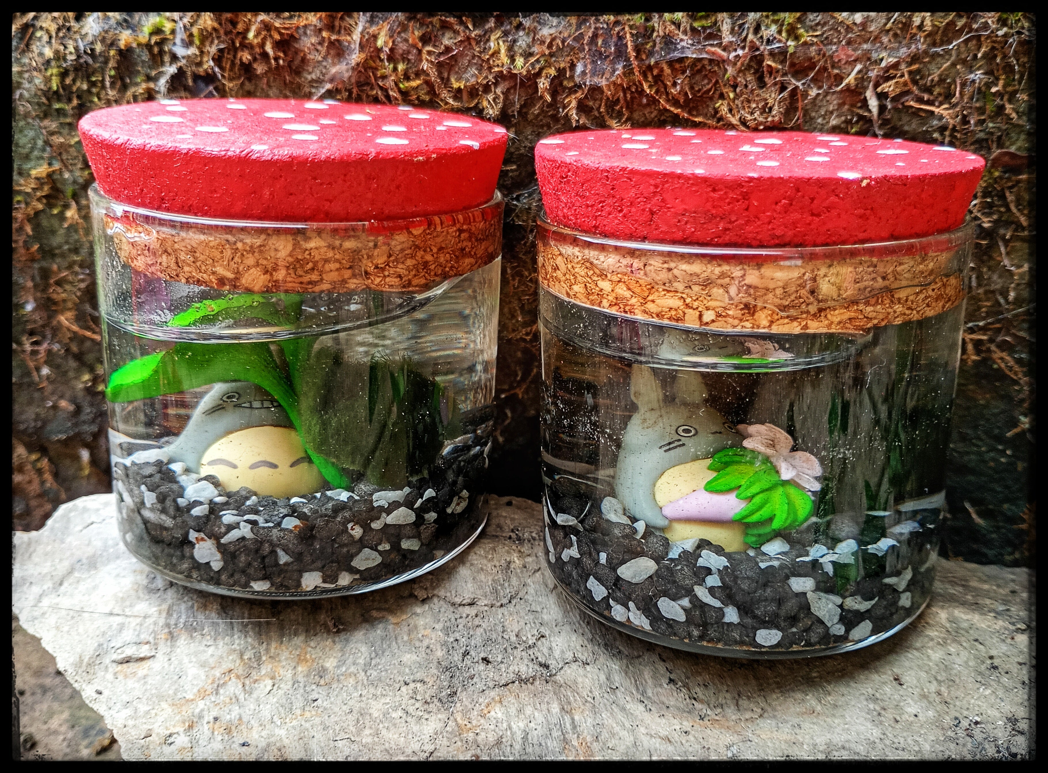 Moss ball with Totoro figure