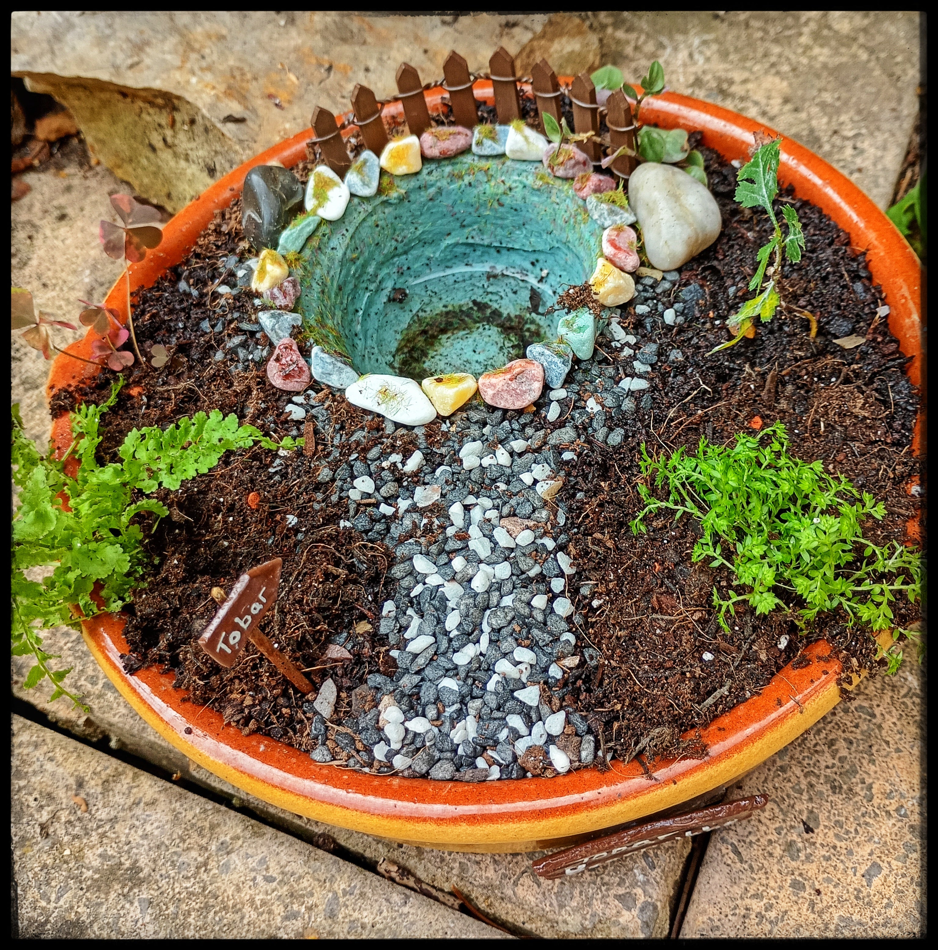 Sacred Well with Hawthorn sapling.