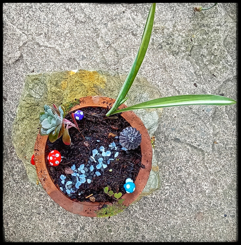 Tiny Toadstool House