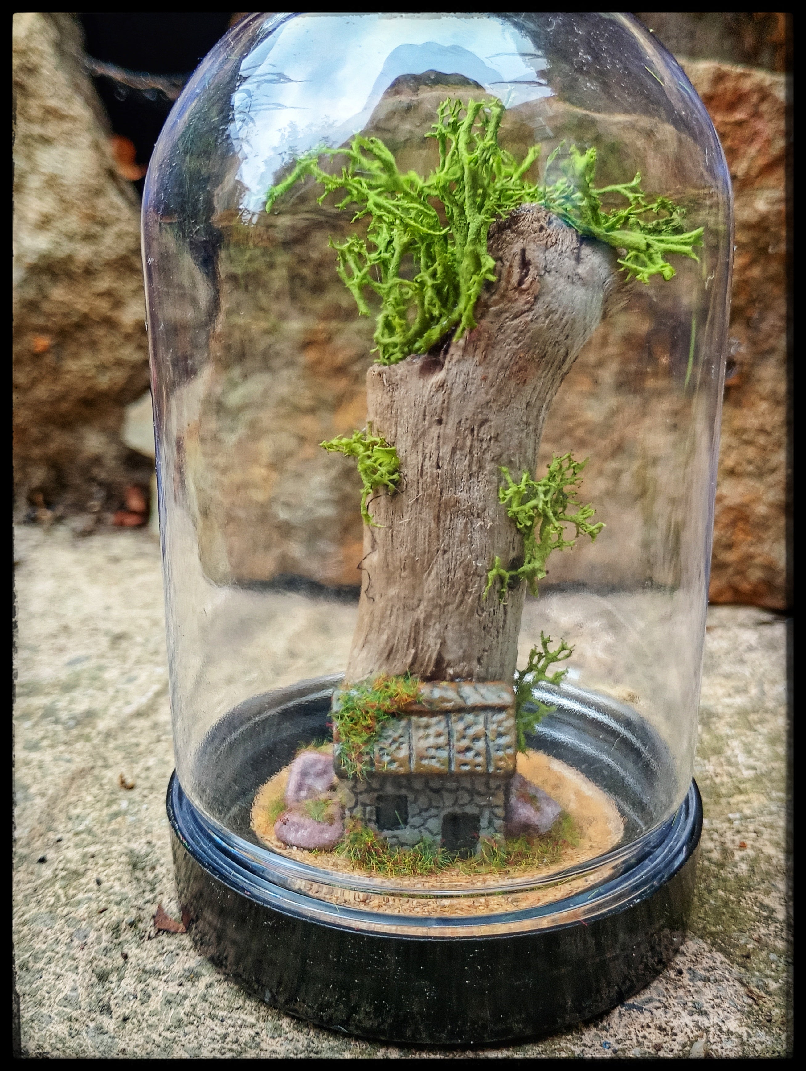 Tree House In Cloche