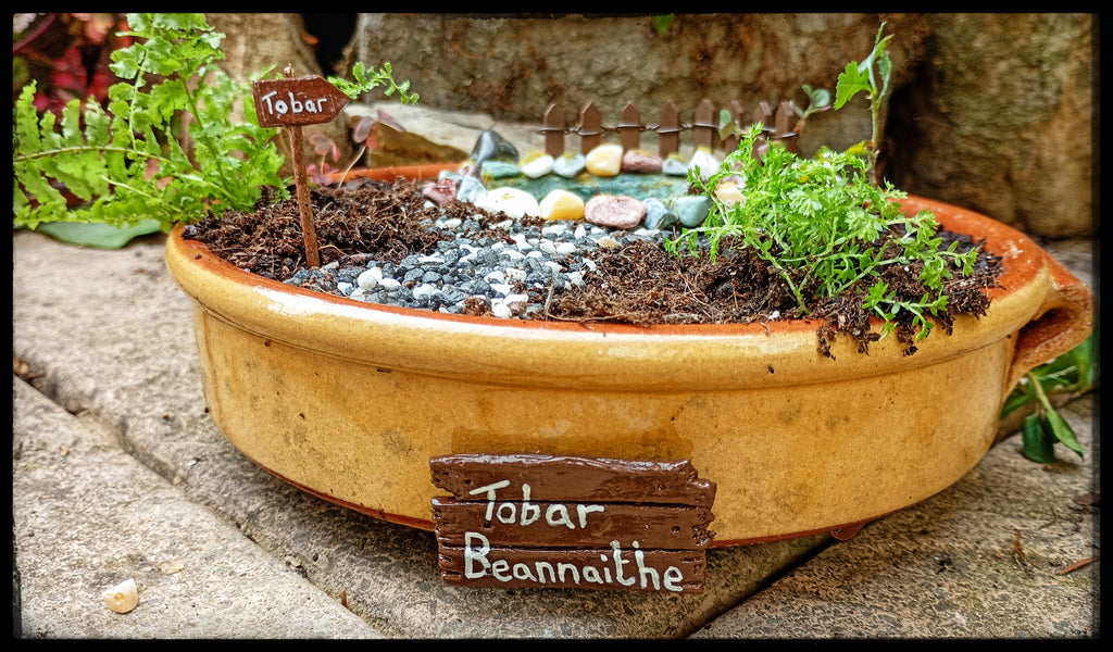 Sacred Well with Hawthorn sapling.