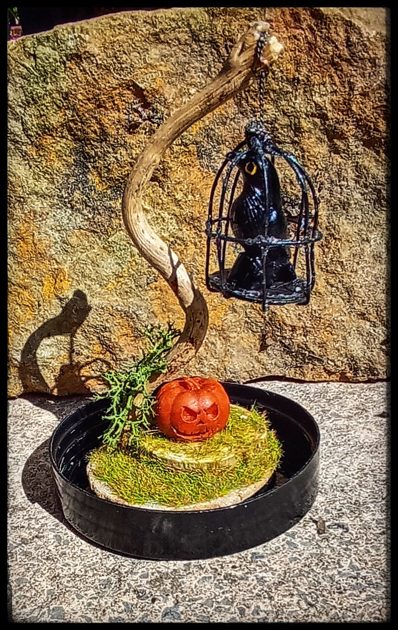 The Captured Raven, Halloween scene in cloche