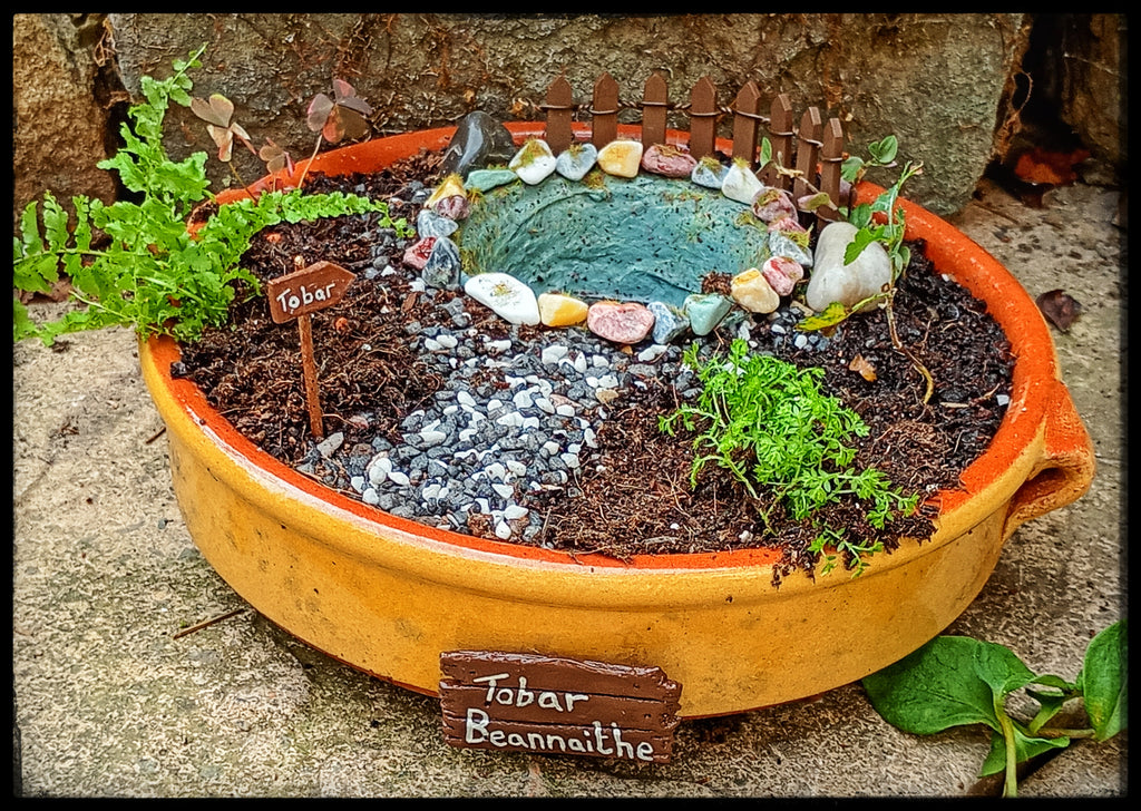 Sacred Well with Hawthorn sapling.