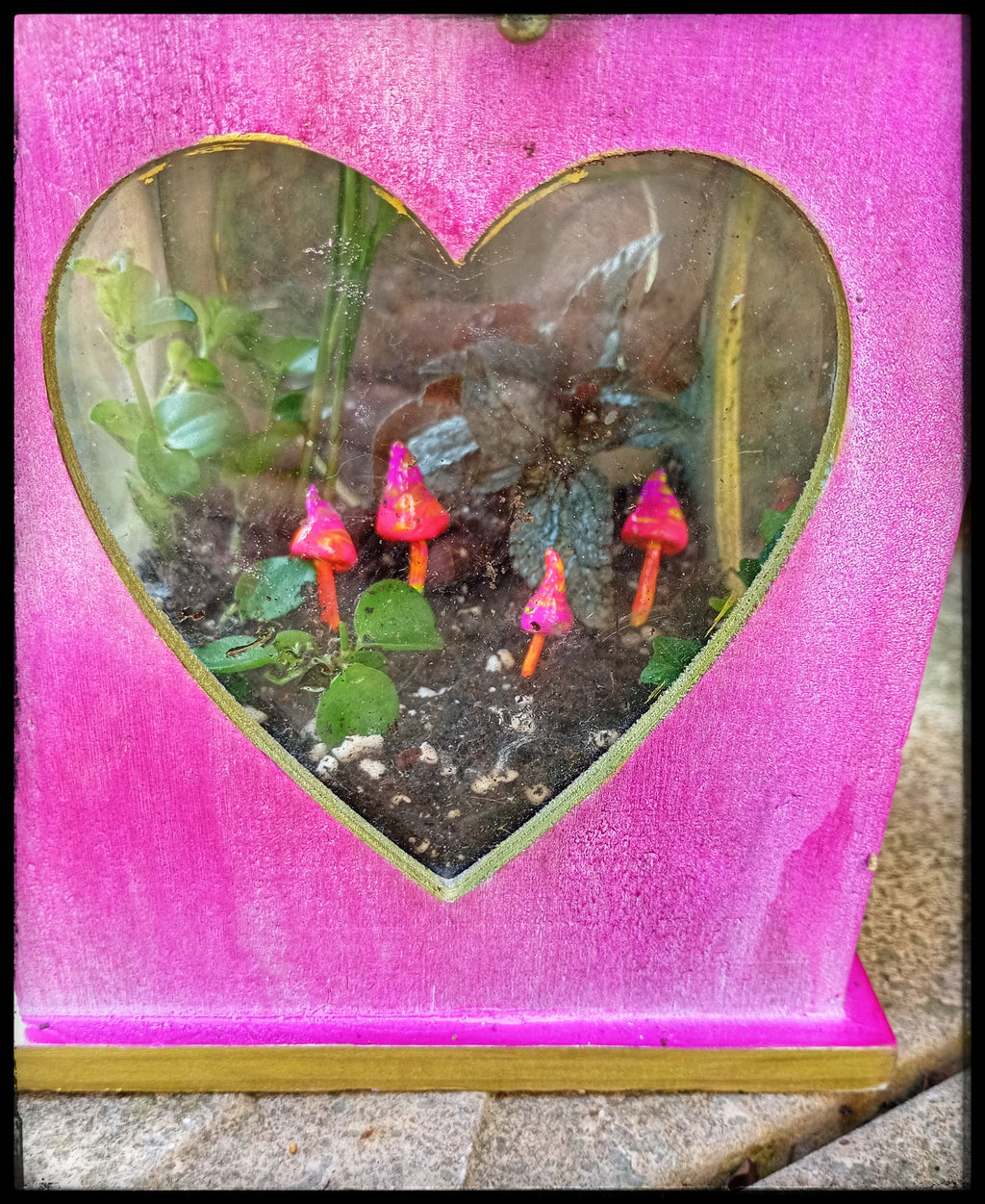 Pink Lantern Terrarium
