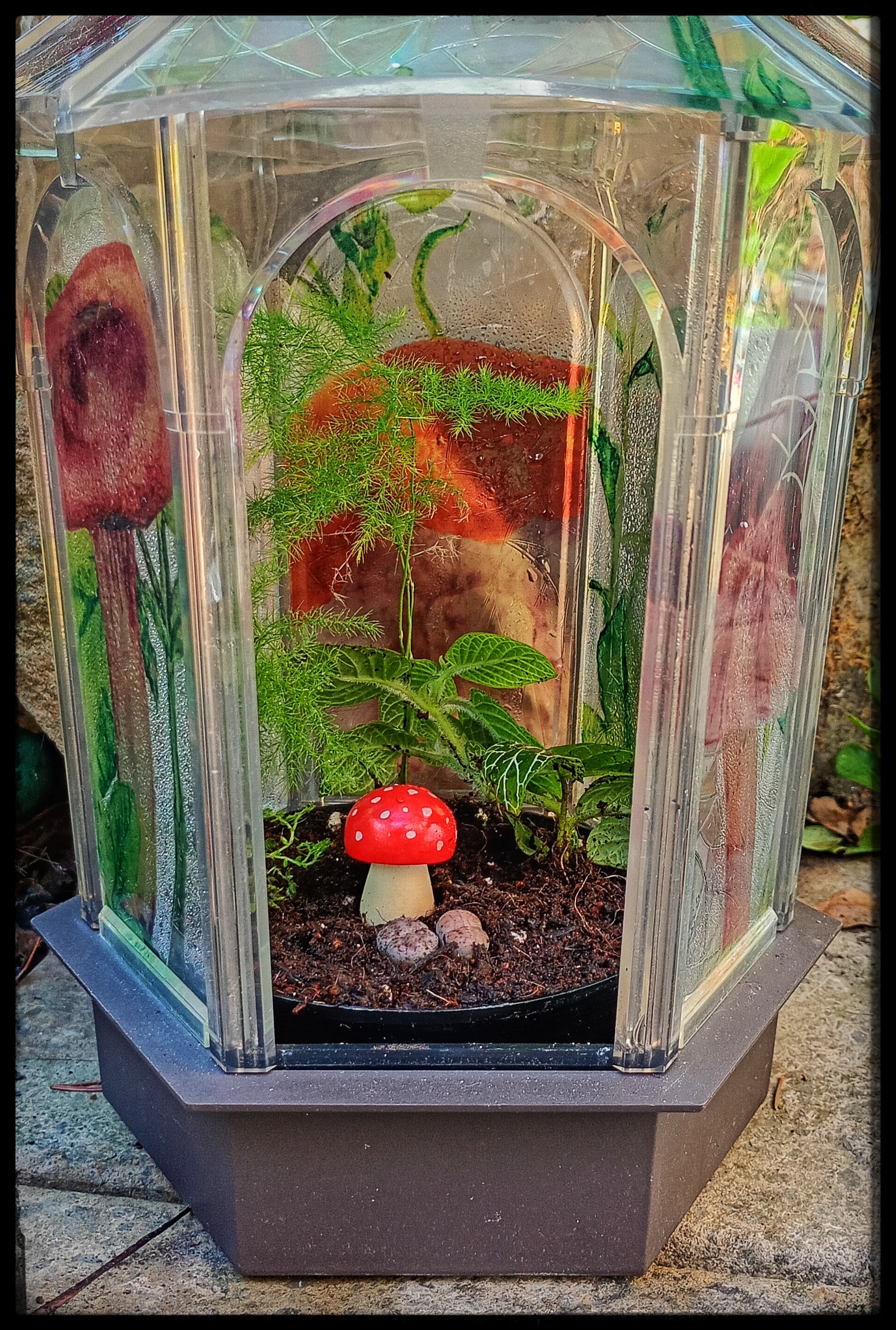 Stained Glass Style Toadstool Terrarium