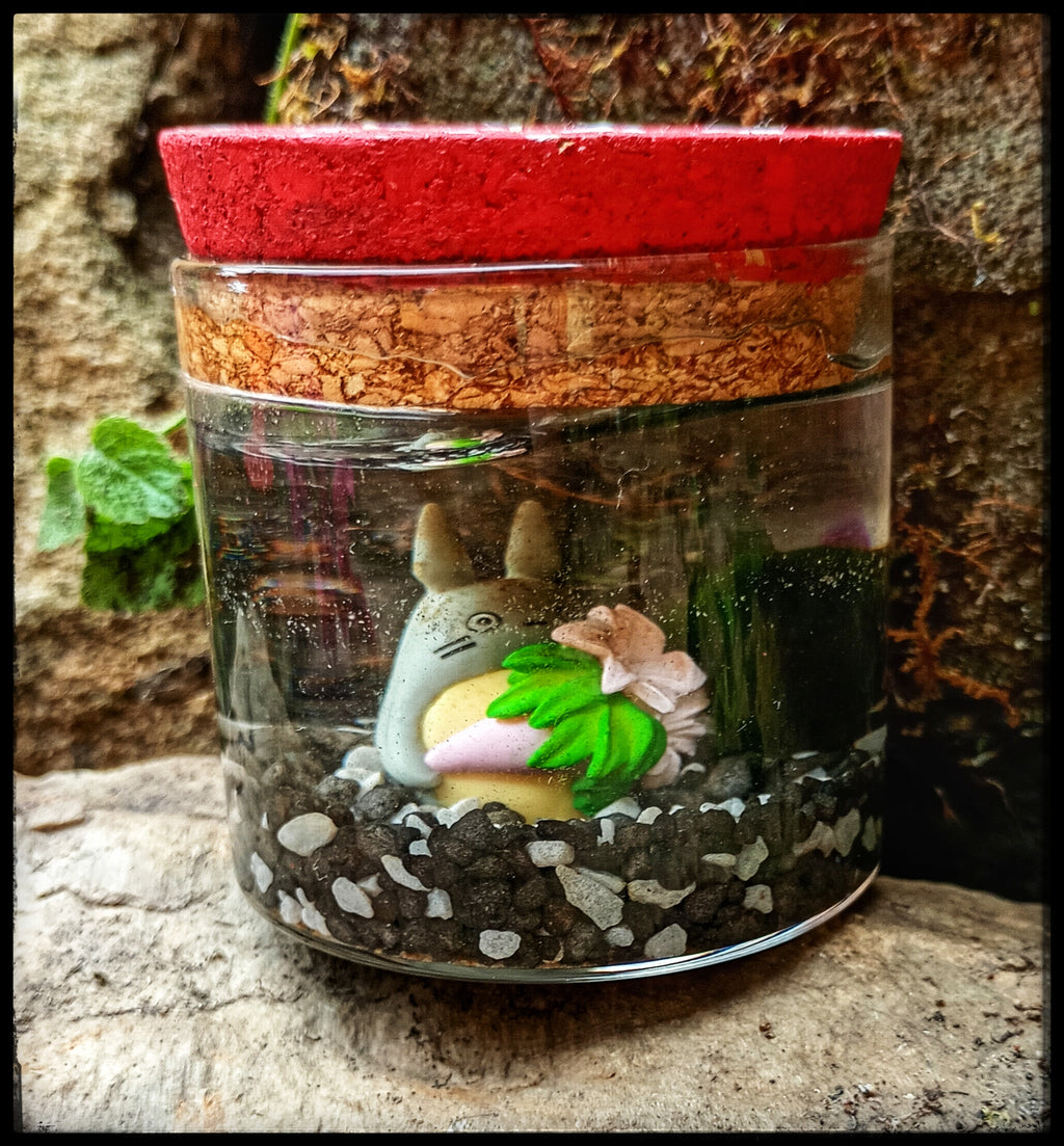 Moss ball with Totoro figure