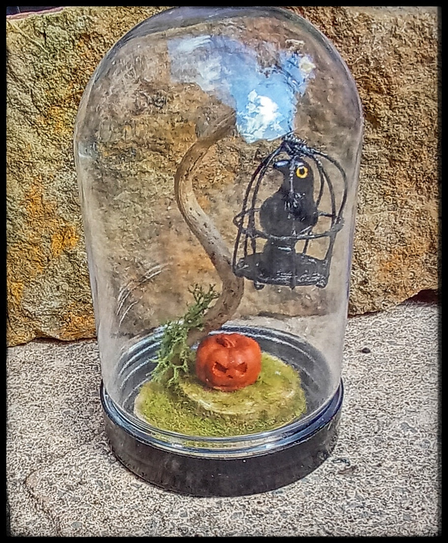 The Captured Raven, Halloween scene in cloche