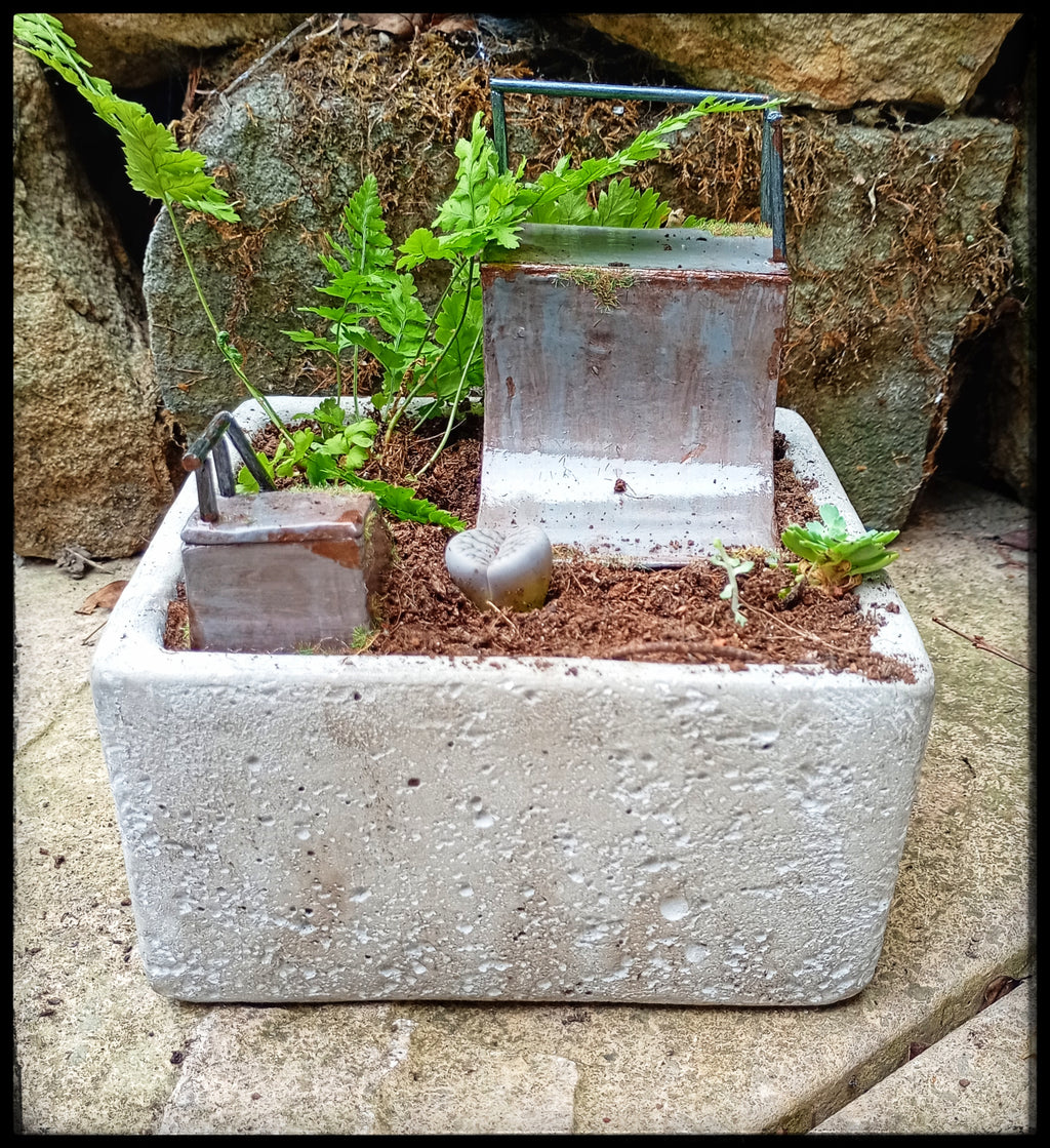 Abandoned Skate Park Garden