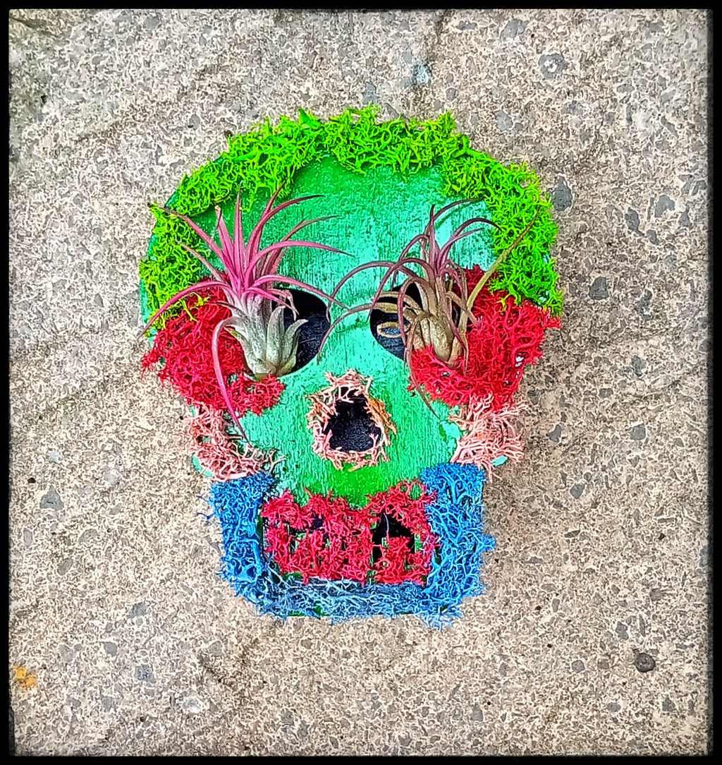 Light up mossy skull