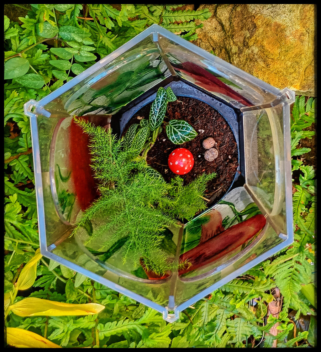 Stained Glass Style Toadstool Terrarium