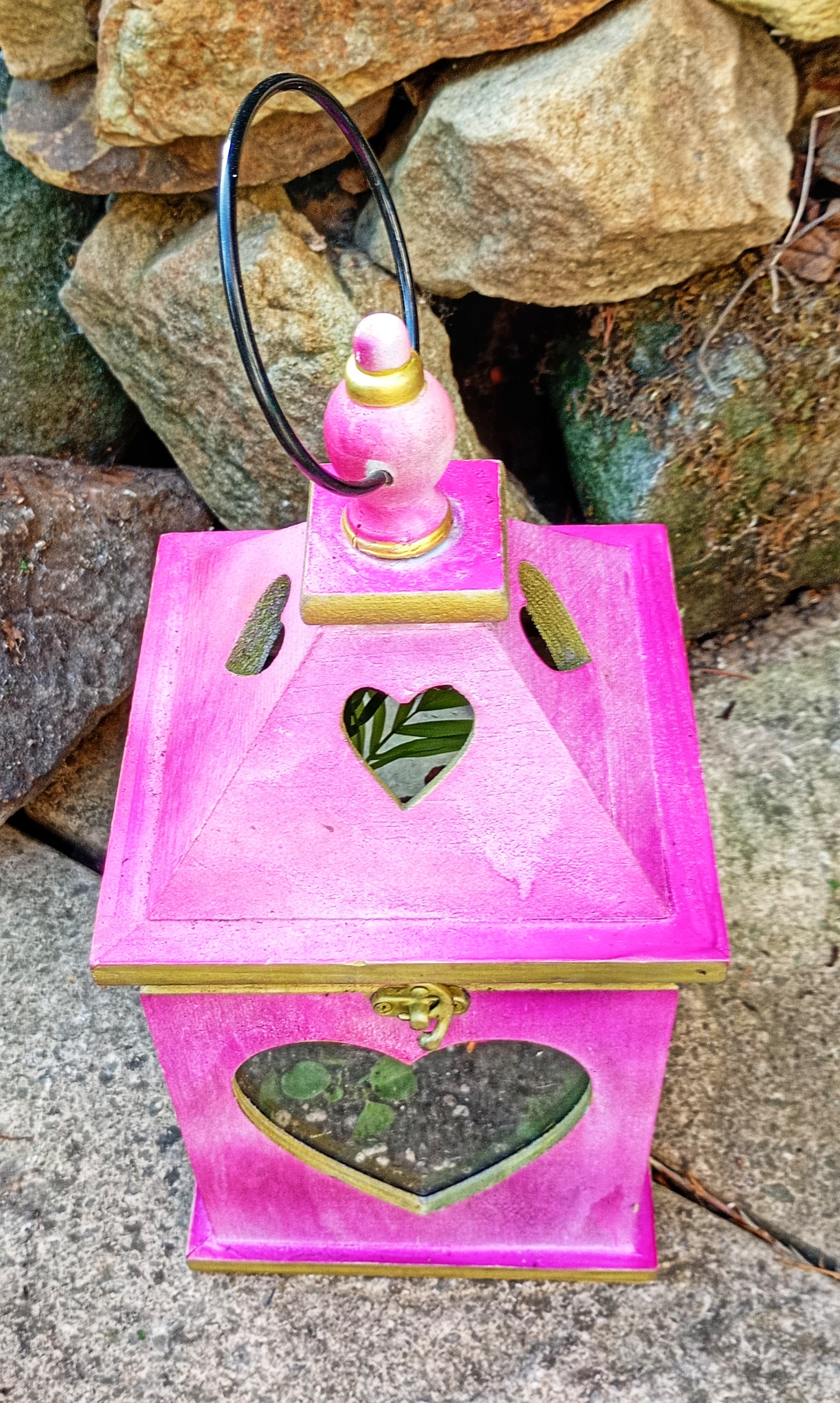 Pink Lantern Terrarium