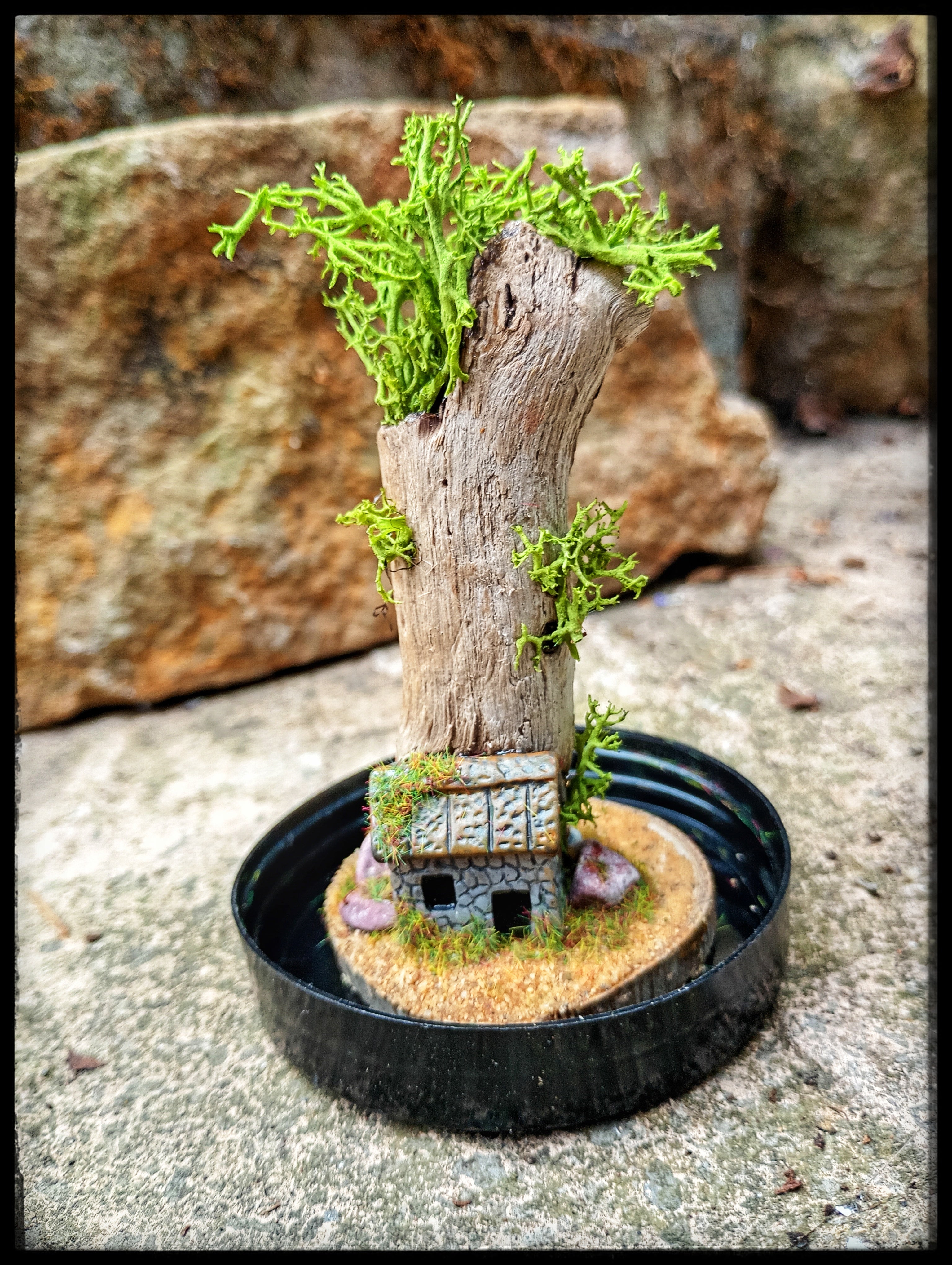 Tree House In Cloche