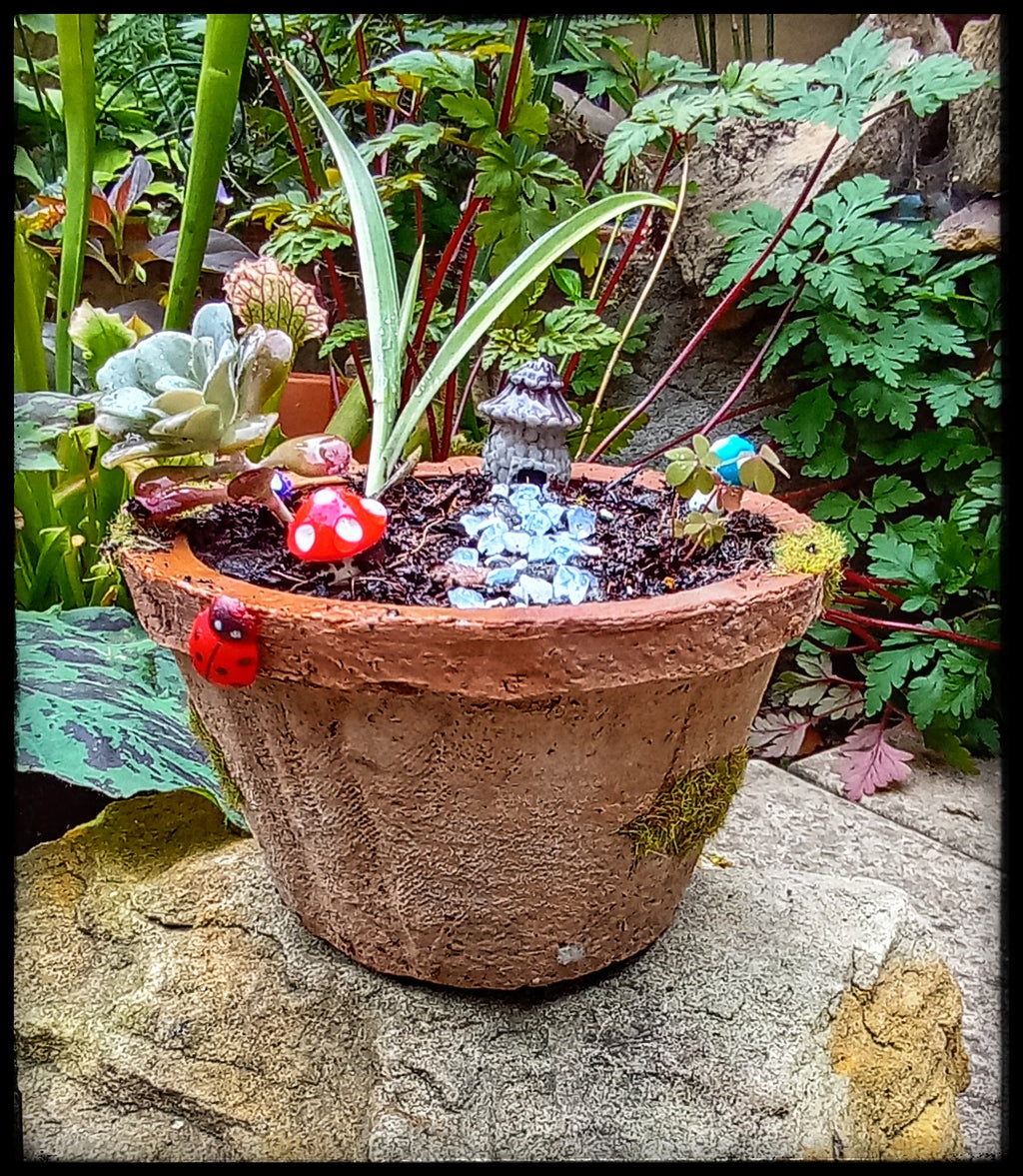 Tiny Toadstool House