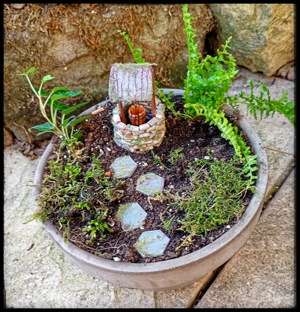 Wishing Well Garden