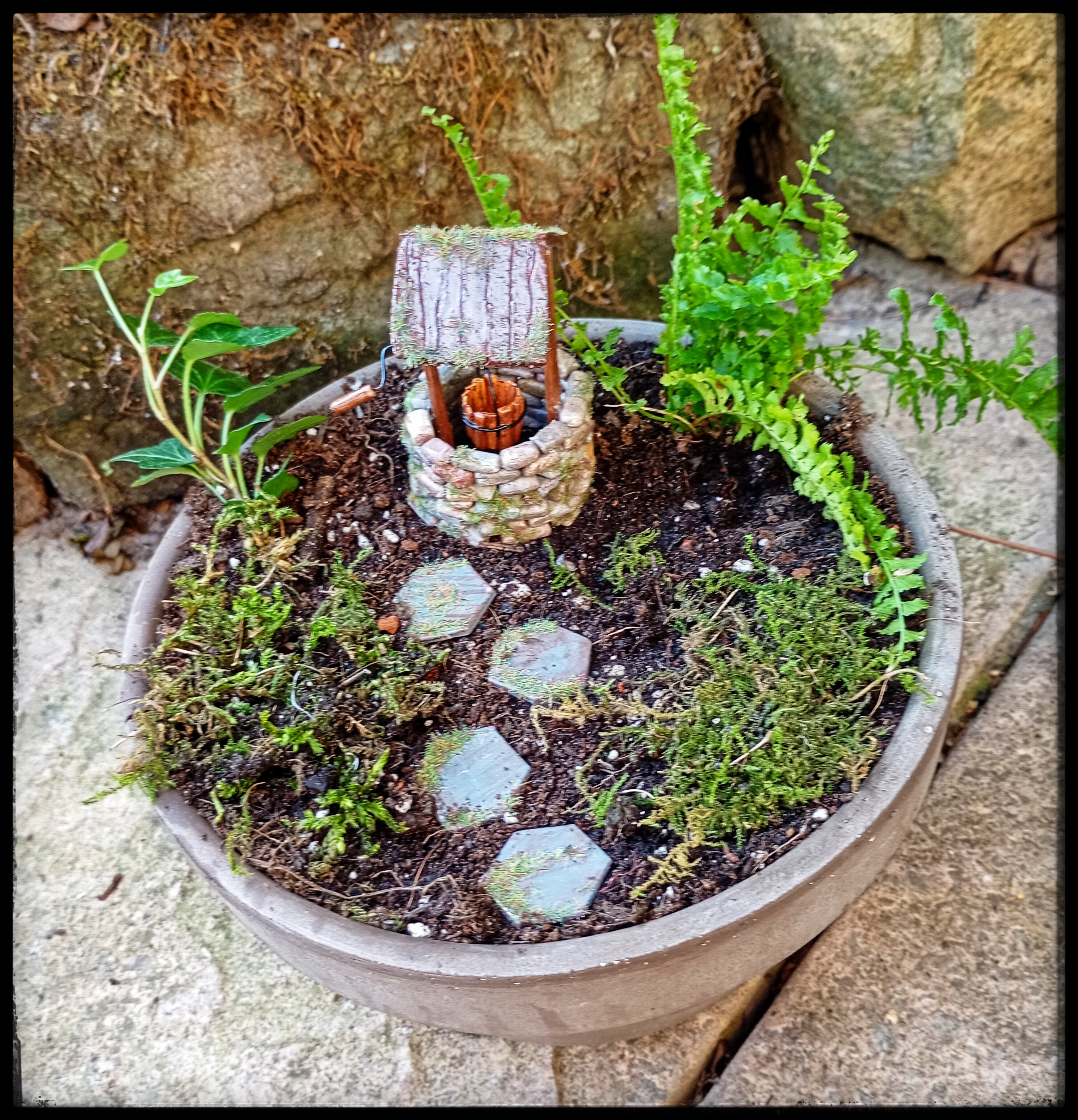 Wishing Well Garden