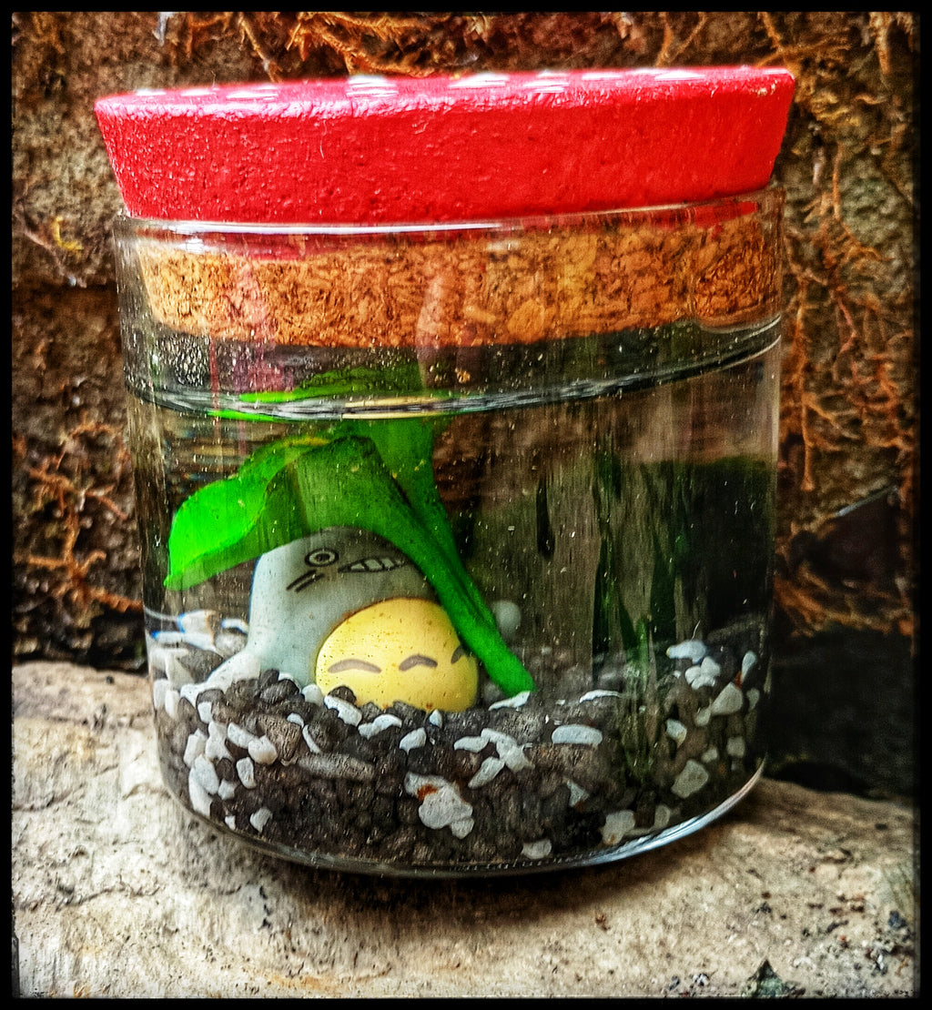 Moss ball with Totoro figure