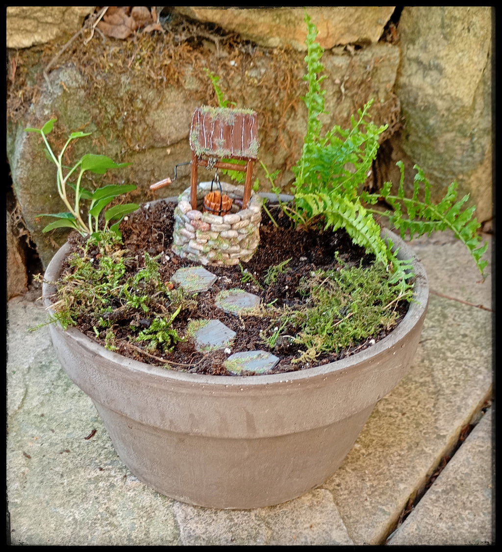 Wishing Well Garden