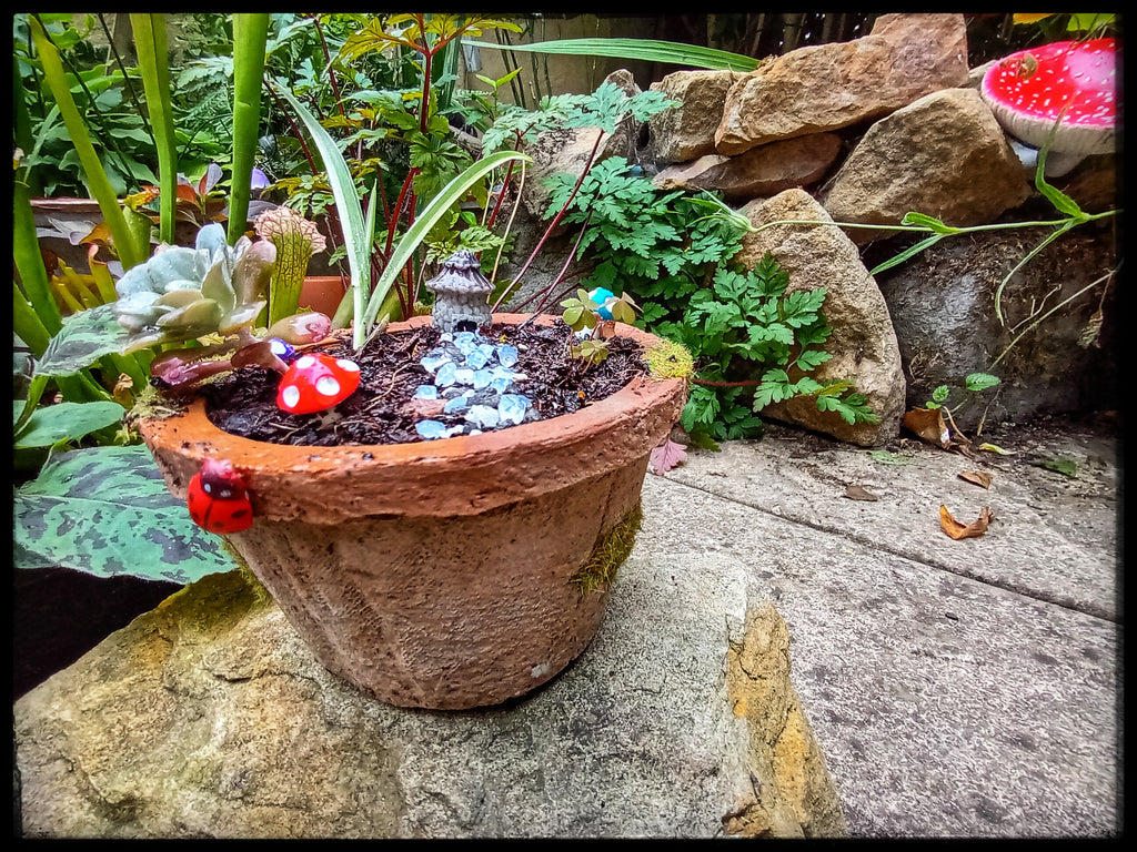 Tiny Toadstool House
