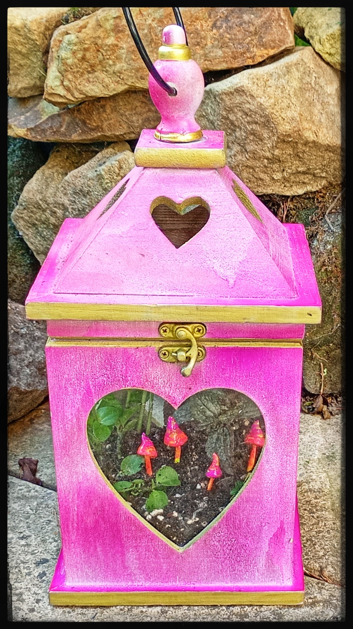 Pink Lantern Terrarium