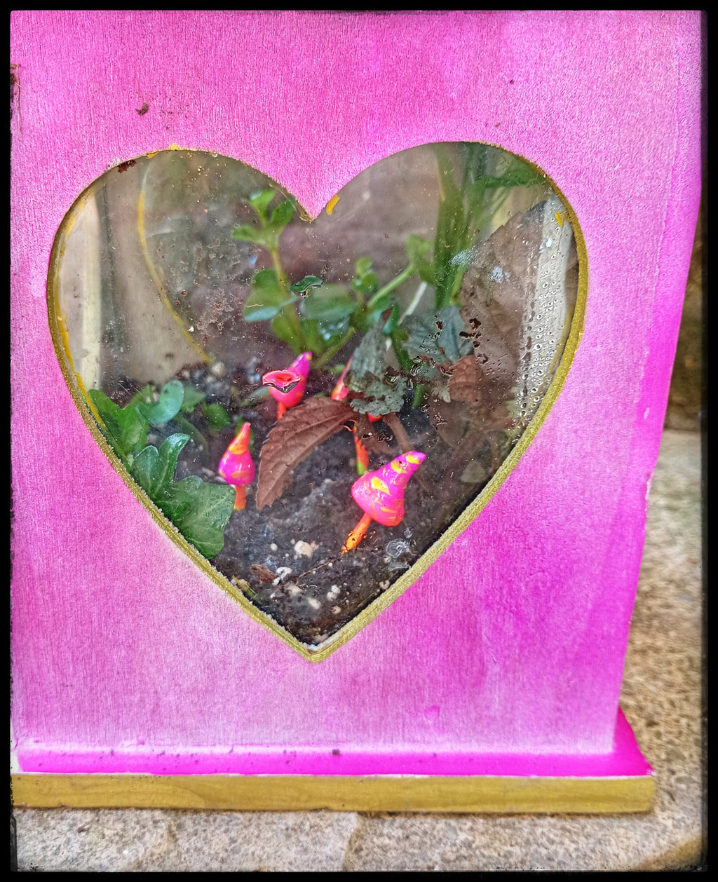 Pink Lantern Terrarium