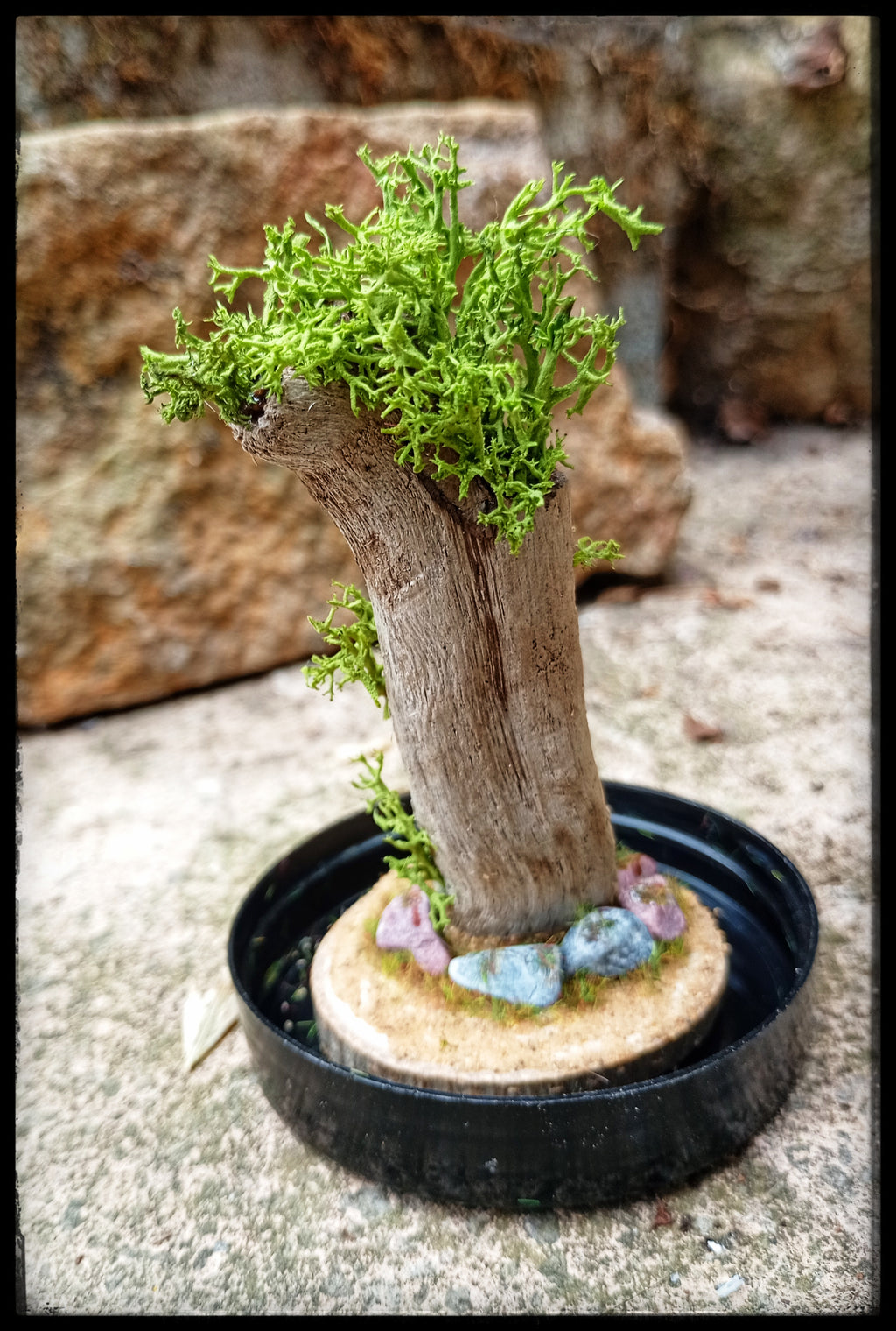 Tree House In Cloche