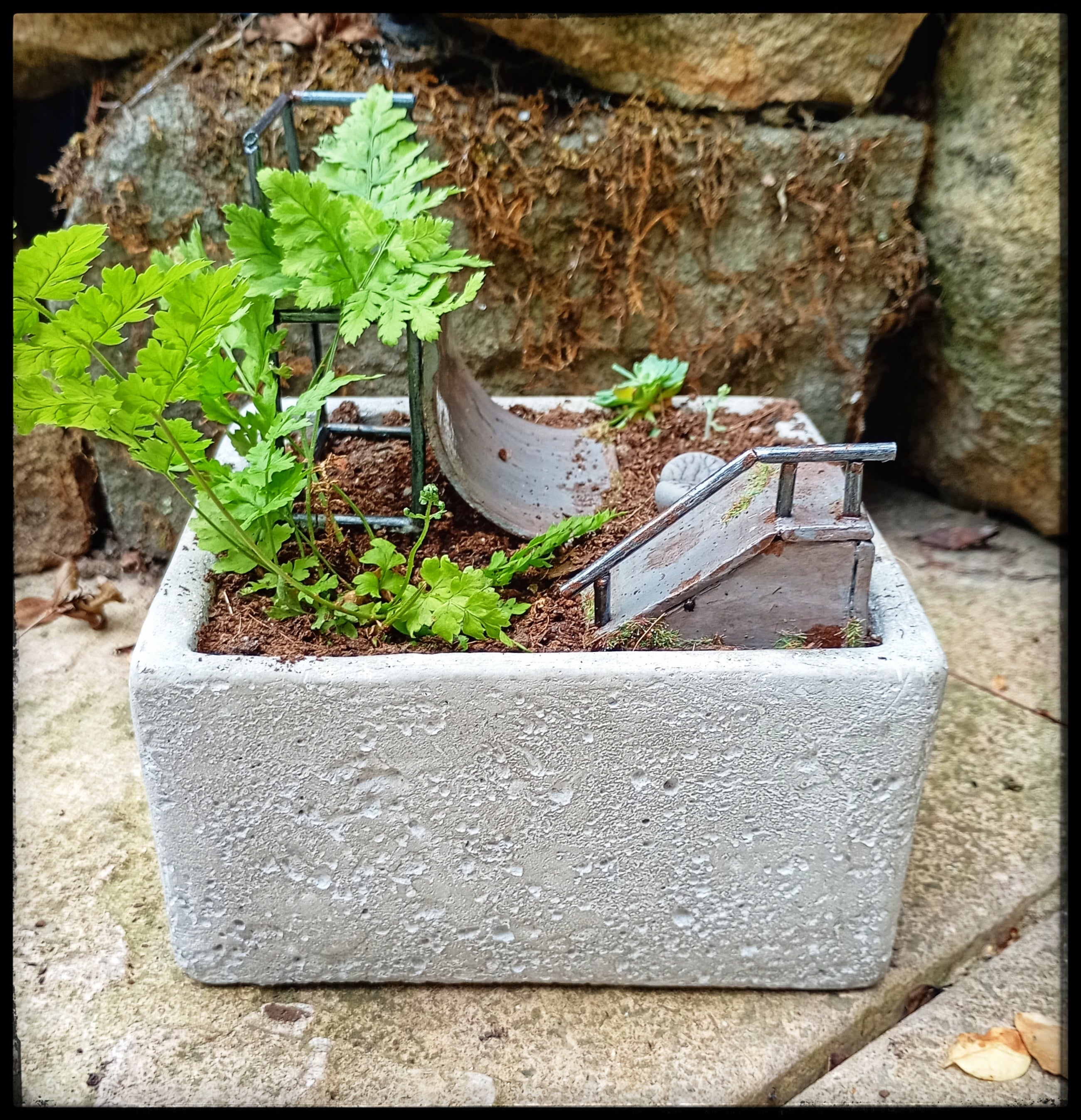 Abandoned Skate Park Garden