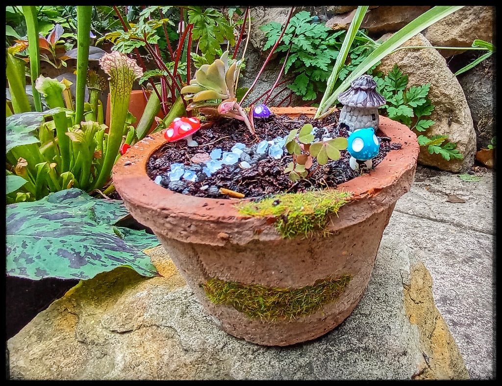 Tiny Toadstool House